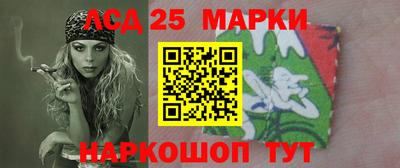 гашик Славгород