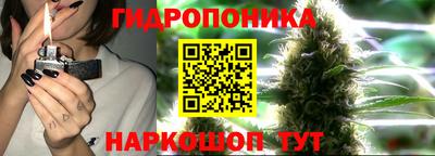 mix Сланцы