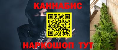 гашик Славгород