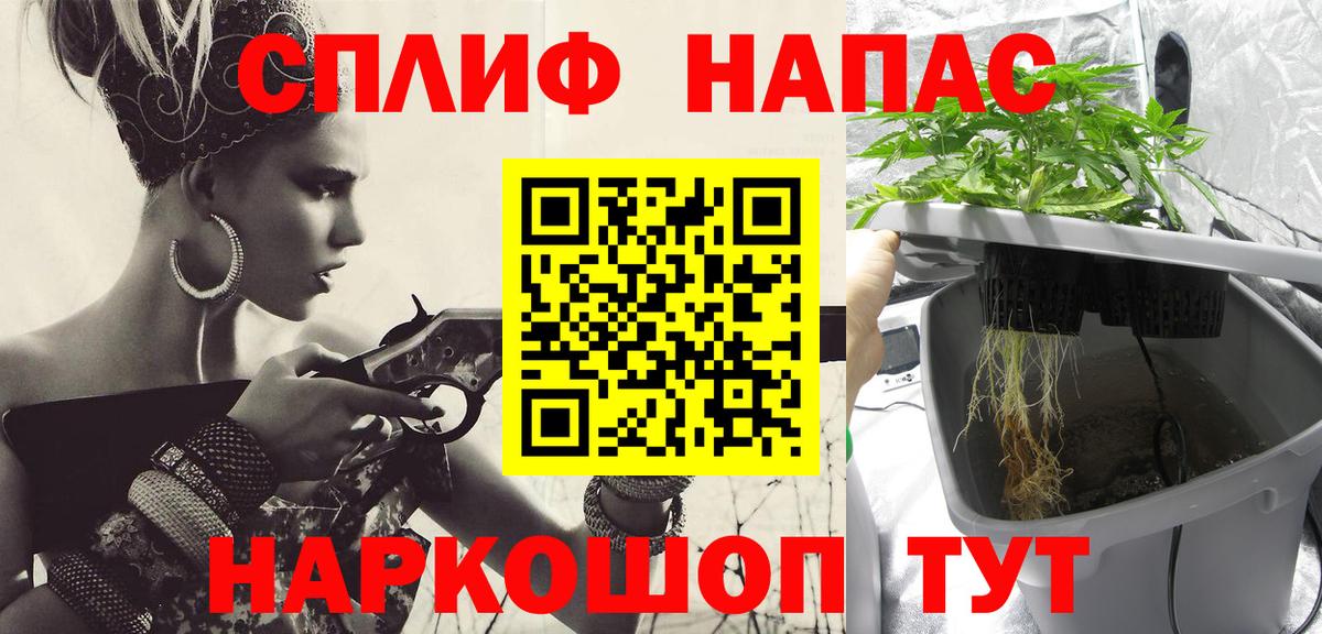 Бошки марихуана White Widow Новоалександровск